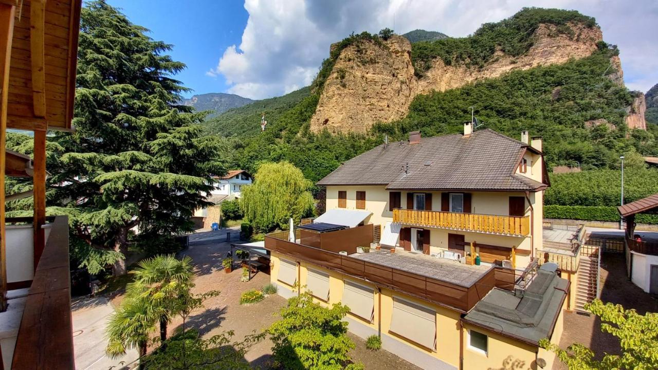 Hotel Garni Gruener Baum 拉伊韦斯 外观 照片
