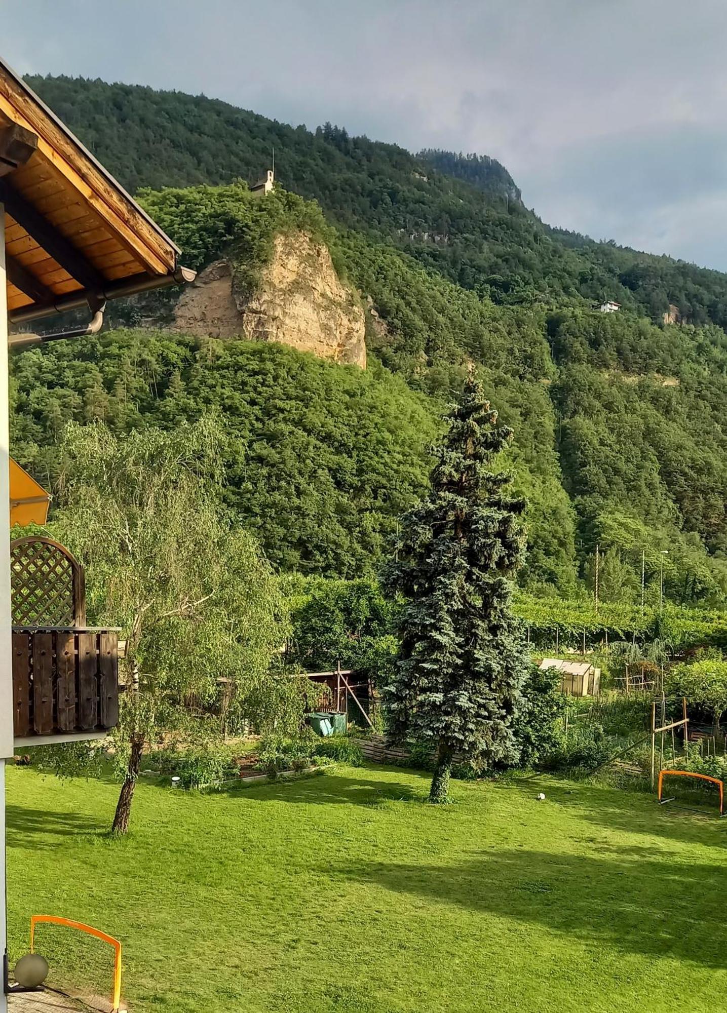 Hotel Garni Gruener Baum 拉伊韦斯 外观 照片
